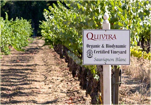 Biodynamic vineyards at Quivira