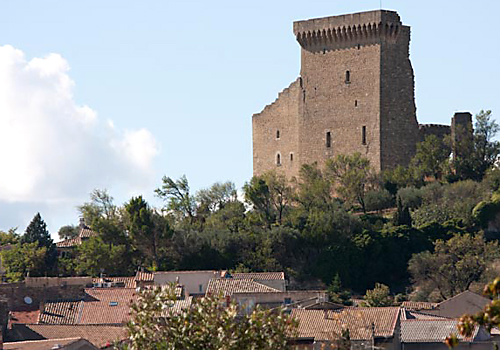 image of Chateau des Papes