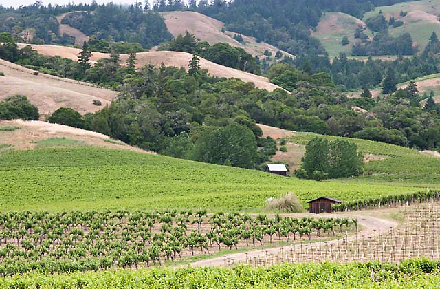 Anderson valley and winery