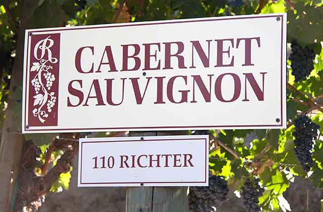 Rafanelli winery