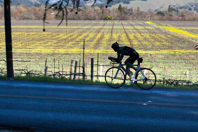 cycling in wine country