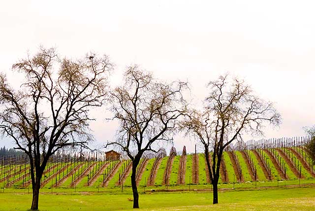 march weather wine country