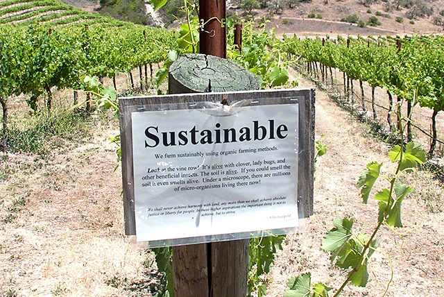 Sustainable vineyard