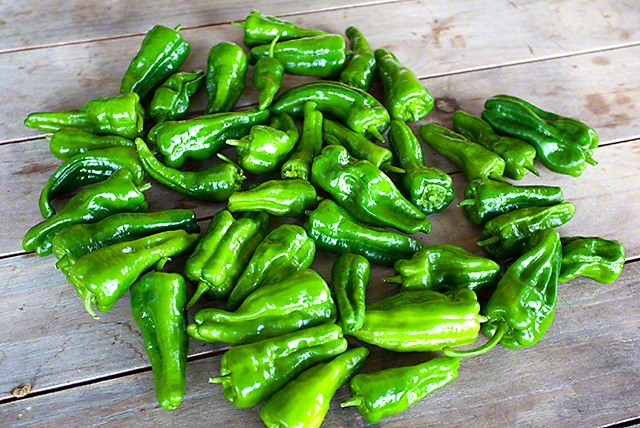 Pedron Peppers